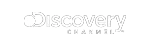 disc